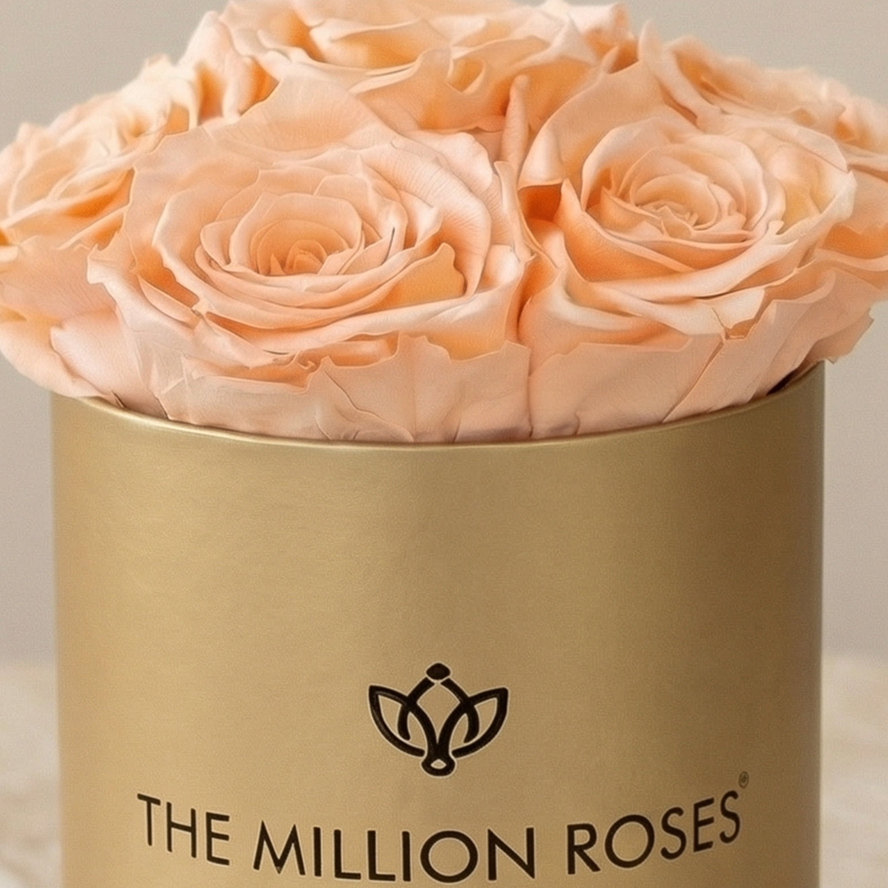 Essence Gold Box | Peach Roses by The Million Roses