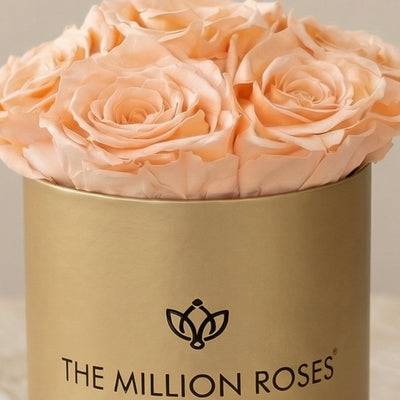 Essence Gold Box | Peach Roses by The Million Roses