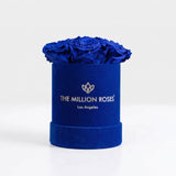 Essence Royal Blue Suede Box with 7 royal blue roses inside a royal blue suede box
