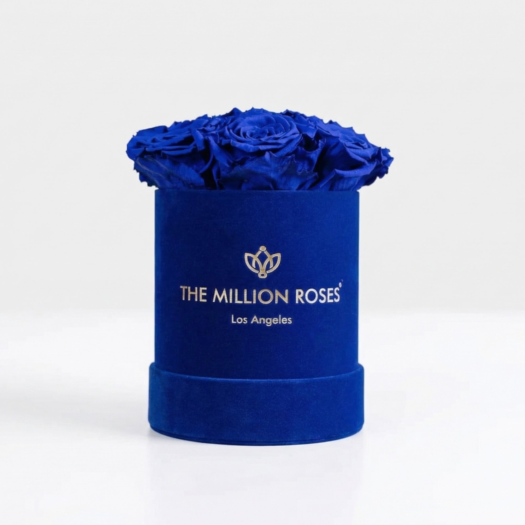 Essence Royal Blue Suede Box with 7 royal blue roses inside a royal blue suede box