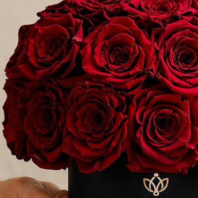 Essence Black Superdome Box | Red Roses