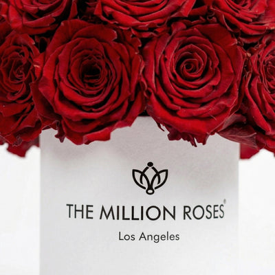 Essence White Superdome Box | Red Roses