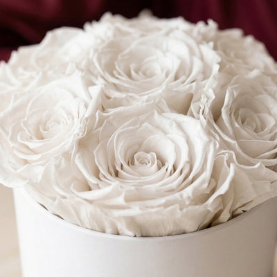 Essence White Box | White Roses