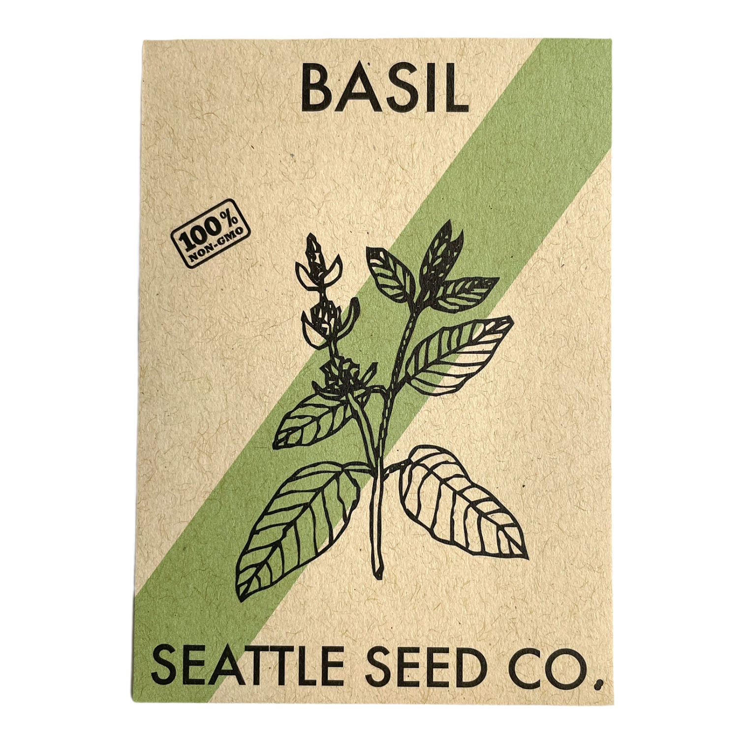 Italian Large Leaf Basil leaves and seeds
