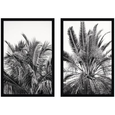 Palm No.
13 & 15 2 Piece Framed Wall Art Print Set by Alicia Bock