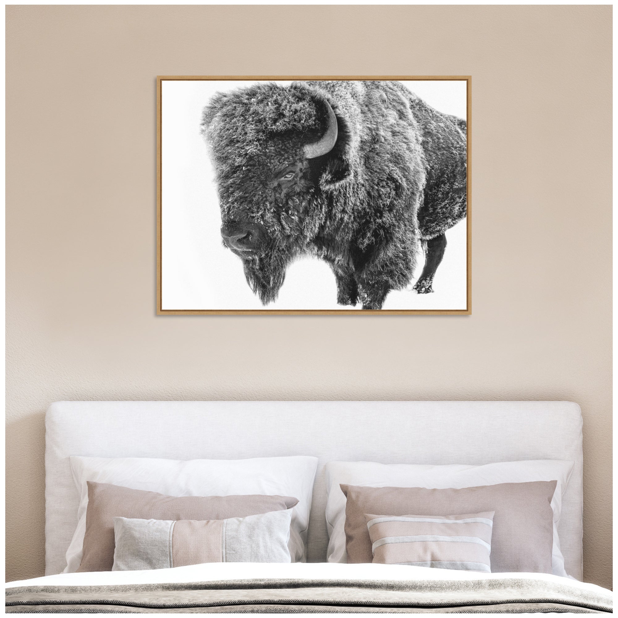 Bison in Snow Black and White by Amy Peterson Framed Canvas Wall Art Print