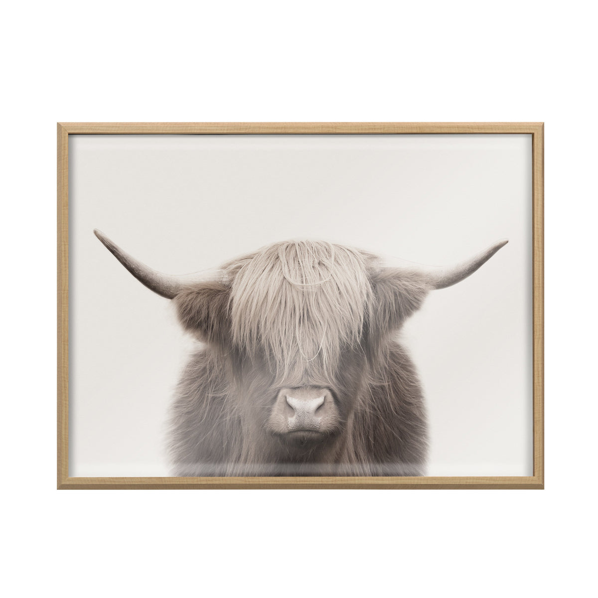 Framed print of a Highland cow with long shaggy light brown and cream hair covering its eyes, centered on a plain white background.