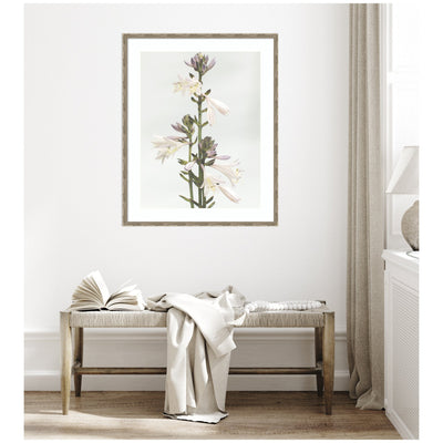 Framed Art Hosta by Alicia Abla