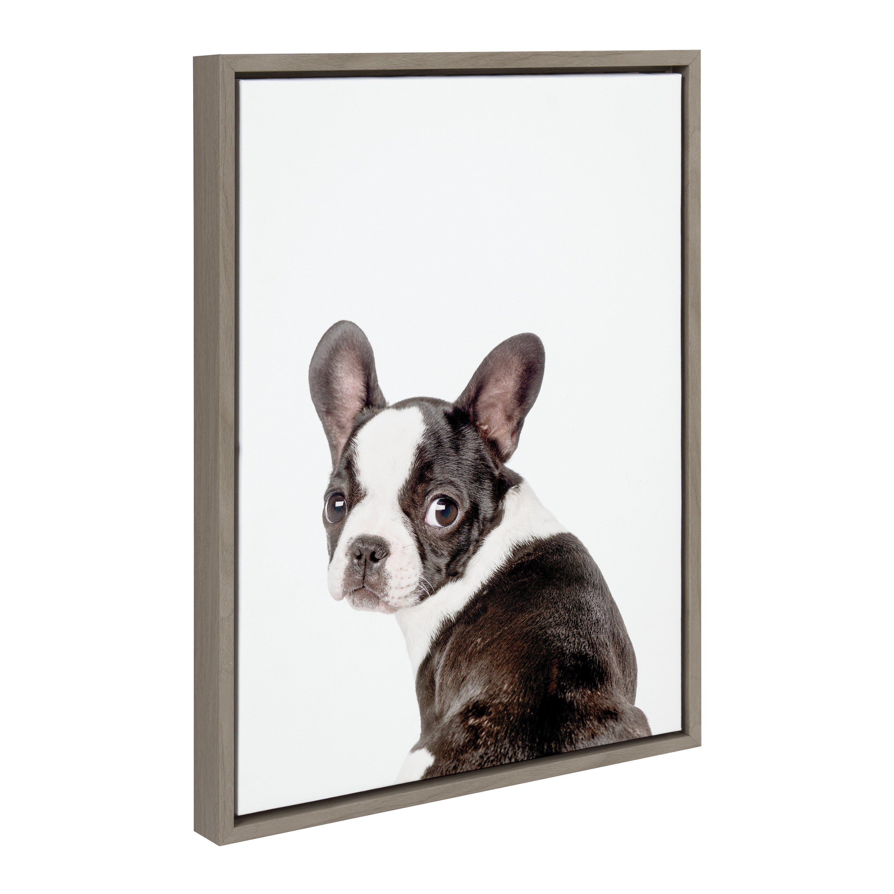 Framed canvas print featuring a French Bulldog illustration by Amy Peterson Art Studio