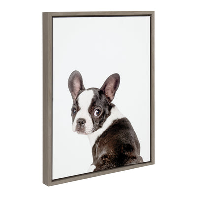 Framed canvas print featuring a French Bulldog illustration by Amy Peterson Art Studio