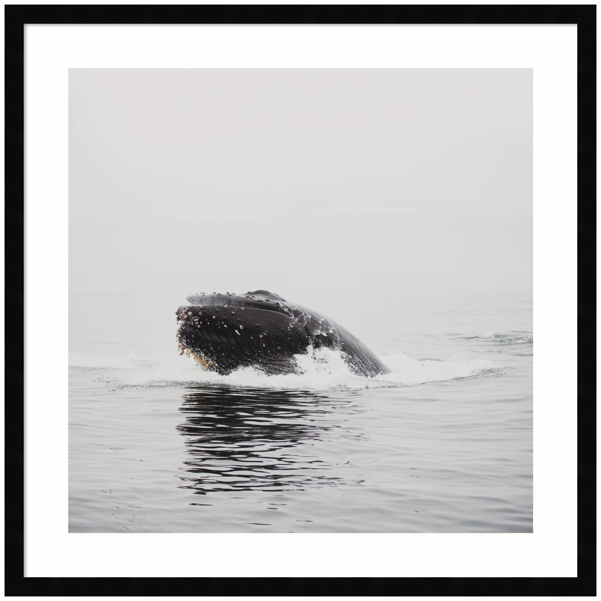 Humpback Whale No.
4 by Laura Evans Framed Wall Art Print