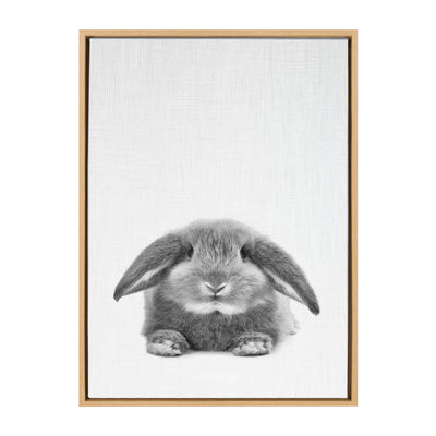 Sylvie Rabbit Framed Canvas by Simon Te of Tai Prints