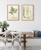 Sylvie Ferns Framed Canvas Set by kateandlaurel - product image 7 for Resin Society