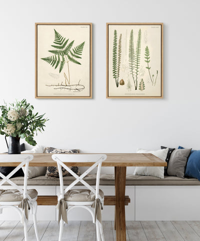 Sylvie Ferns Framed Canvas Set by kateandlaurel - product image 7 for Resin Society