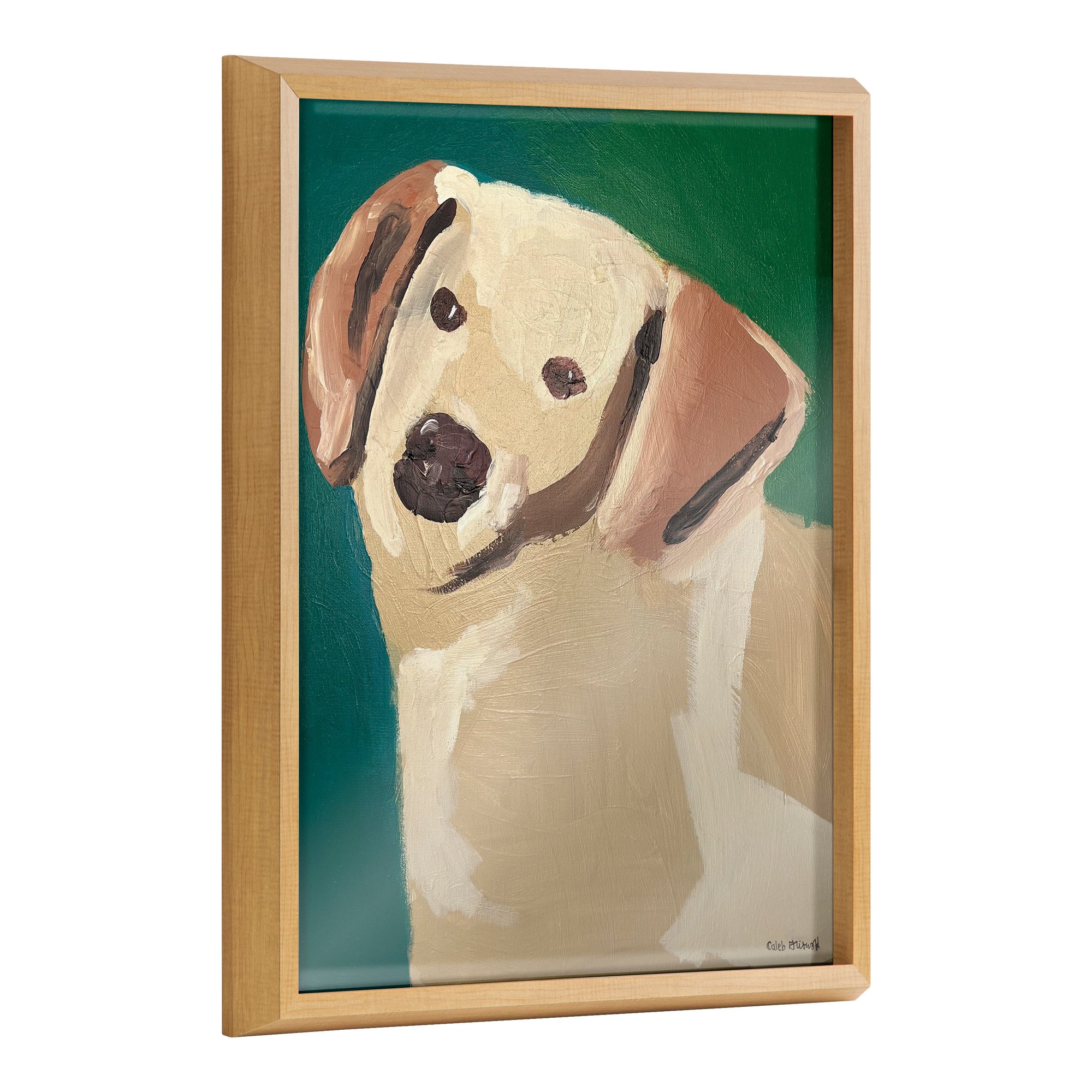 Blake Lily Framed Printed Glass by Caleb Griswold by kateandlaurel - main product image for Resin Society
