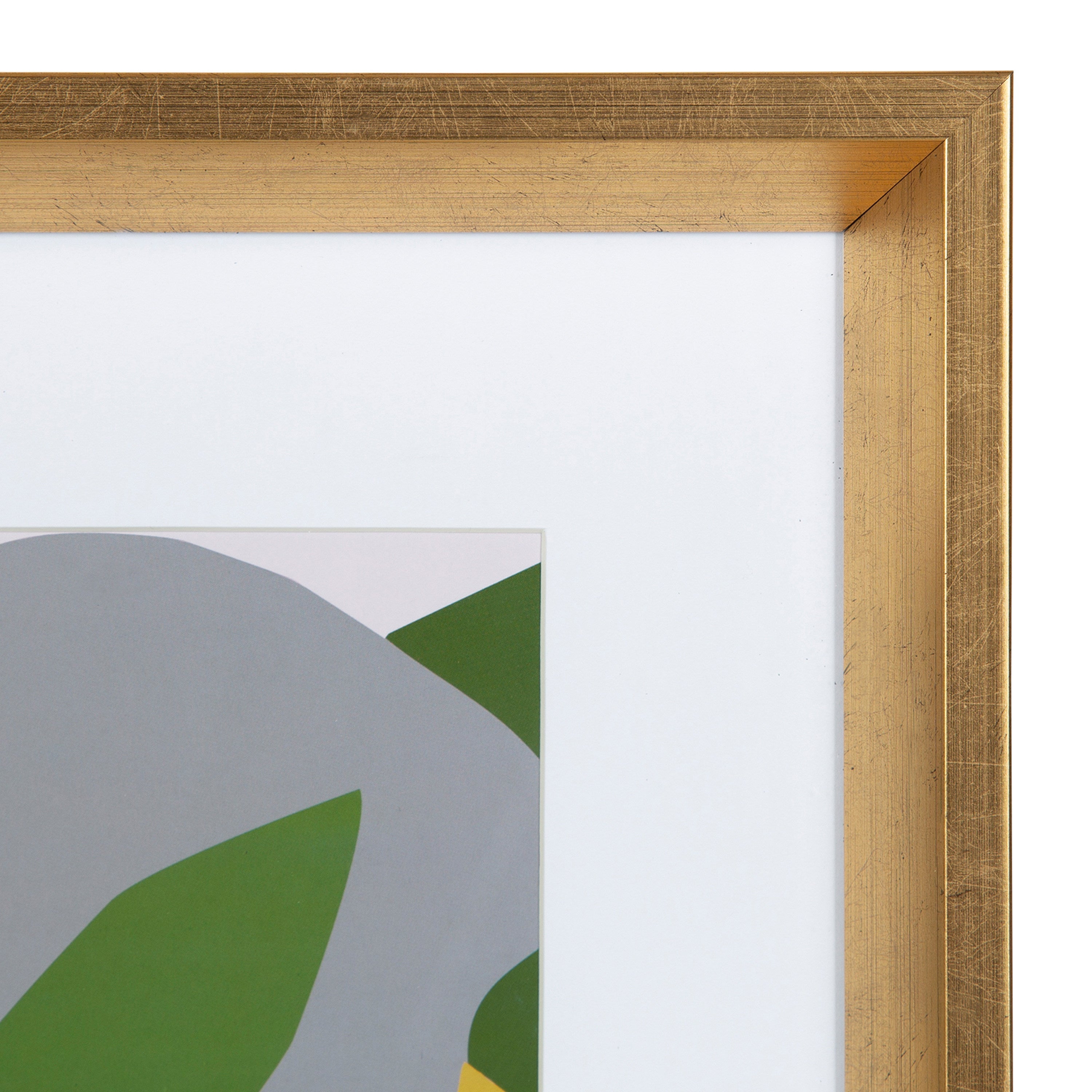 Calter Myriam's Garden Framed Print Art Set by Myriam Van Neste by kateandlaurel - product image 5 for Resin Society