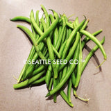 Blue Lake FM-1 Pole Bean Seeds detail image - Resin Society