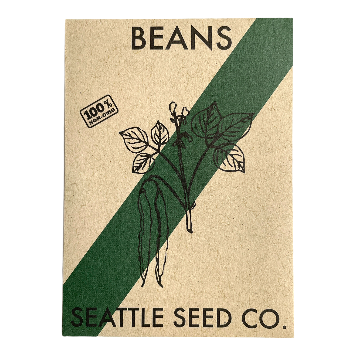 Blue Lake FM-1 Pole Bean Seeds by Seattle Seed Company - Resin Society