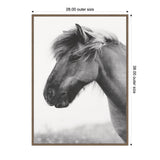 Monochrome close-up of a horse's head with tousled mane, facing left against a blurred light background, framed with a simple wood border.