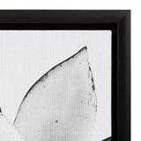 Close-up of black and white succulent leaf detail on textured canvas with a thin black frame corner visible