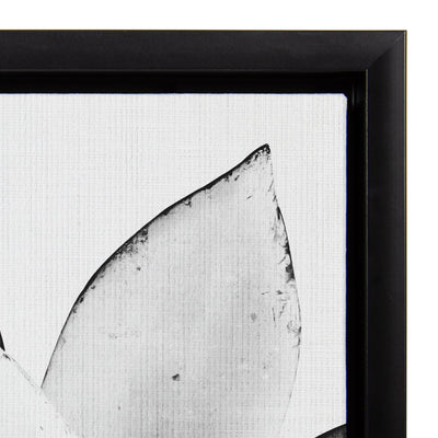 Sylvie Succulent Framed Canvas by Simon Te of Tai Prints