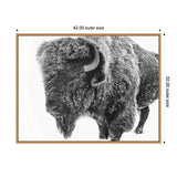 Black and white close-up of a bison facing left, showing textured fur and a curved horn on a white background, framed in light wood.