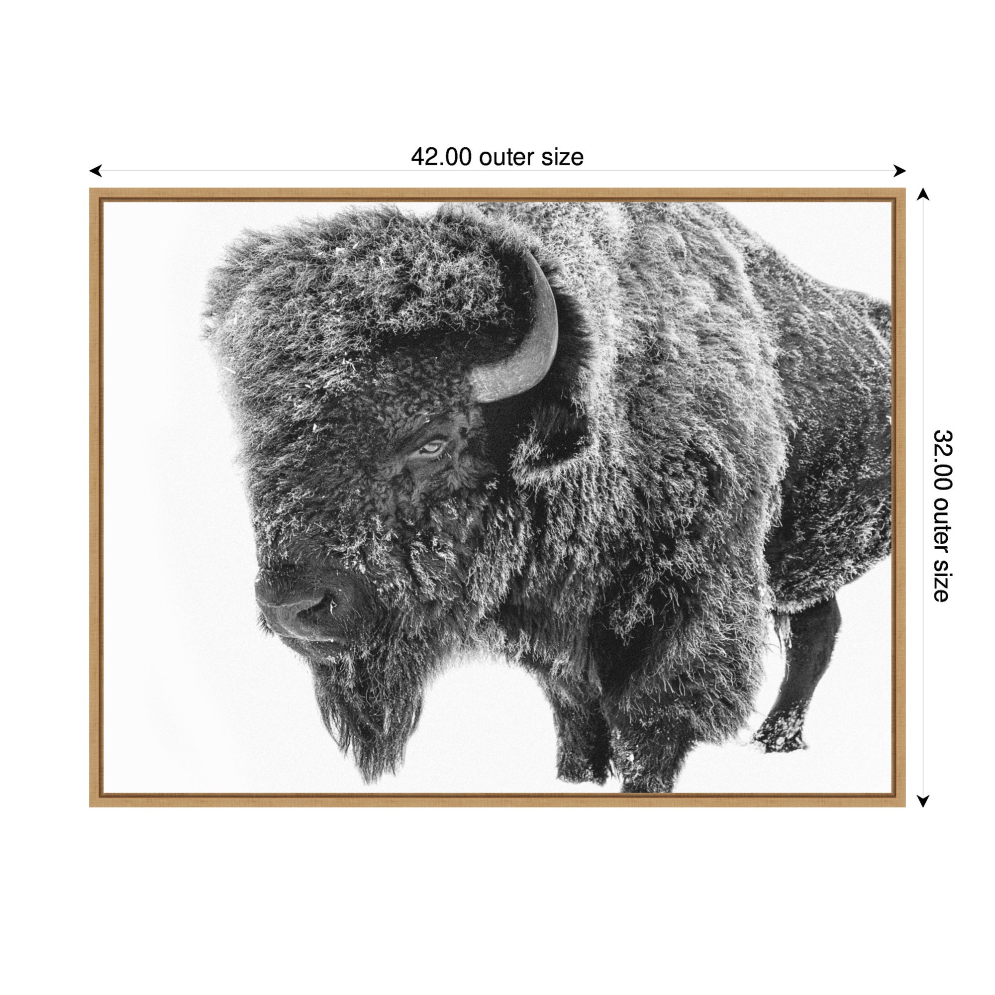 Bison in Snow Black and White by Amy Peterson Framed Canvas Wall Art Print