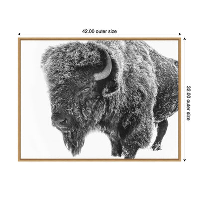 Bison in Snow Black and White by Amy Peterson Framed Canvas Wall Art Print