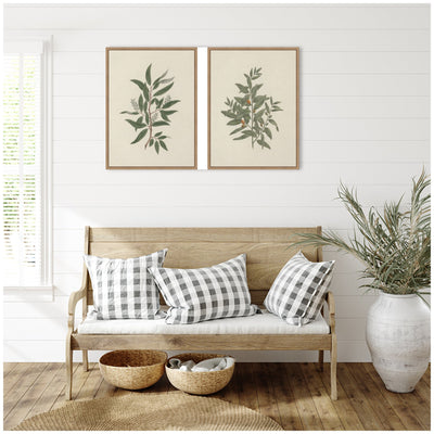 Salix subserrata Willd Willow & Osyris Lanceolate African Sandalwood 2 Piece Framed Canvas Wall Art Set by Nostalgia Prints