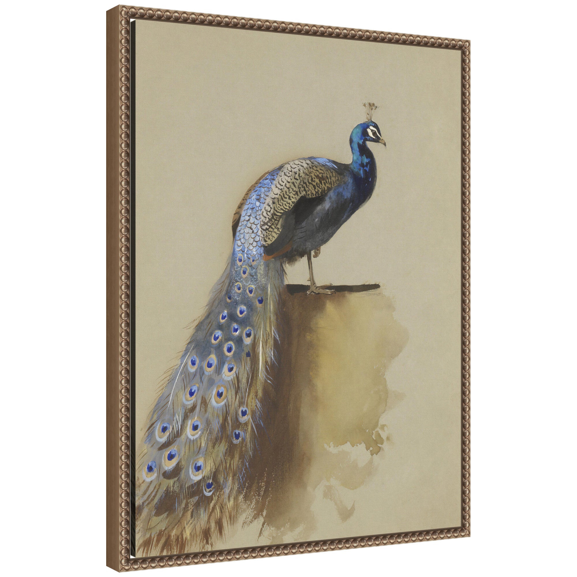 Peacock no date Archibald Thorburn framed canvas wall art print in a Sylvie Beaded dark gold frame, displayed on a dark wall
