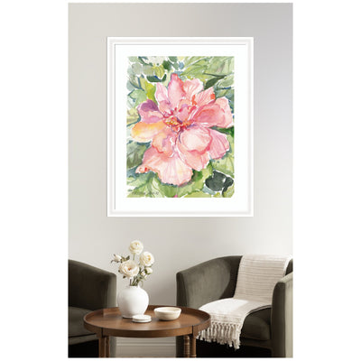 Framed Art Pink Hibiscus In Antigua by Patricia Shaw