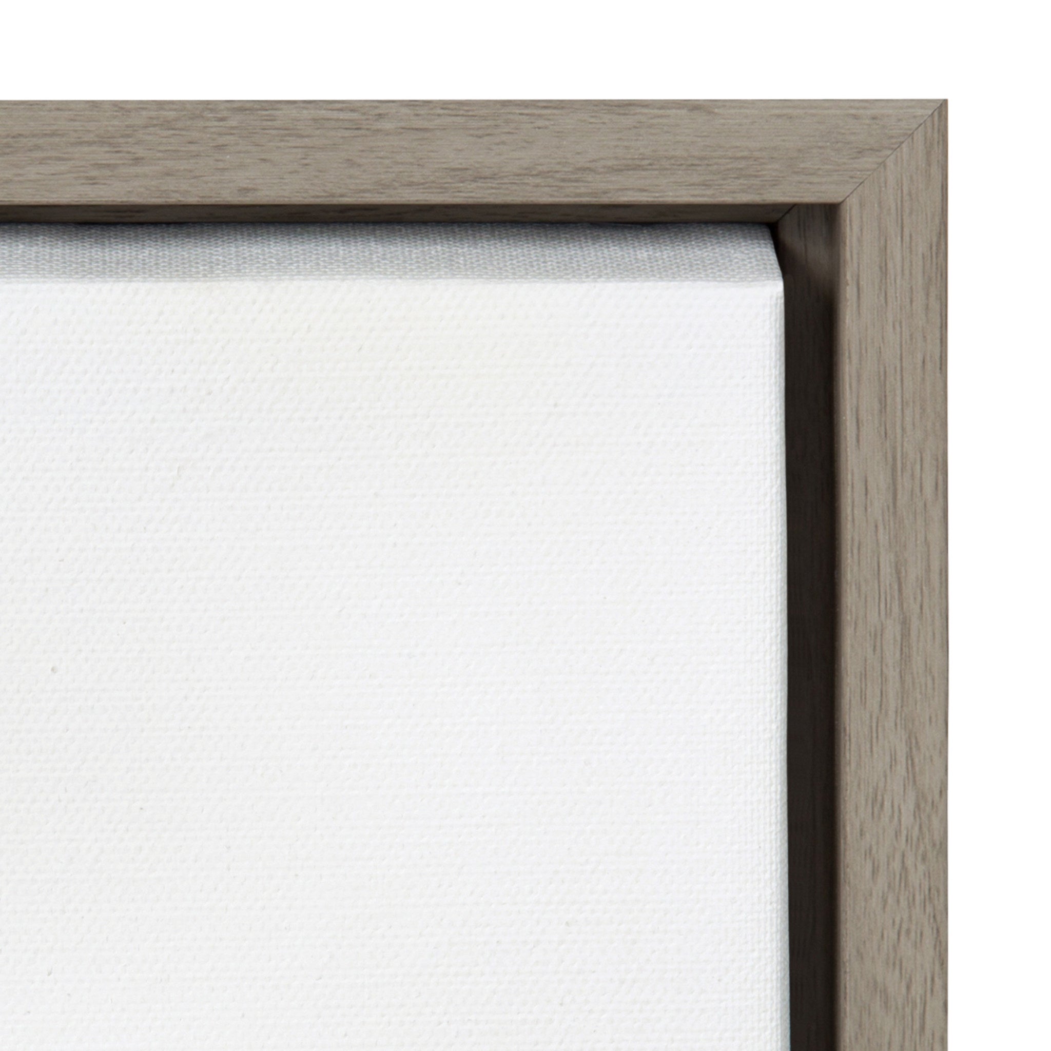 Sylvie Beachbound and Down Framed Canvas by Rachel Bolgov by kateandlaurel - product image 3 for Resin Society