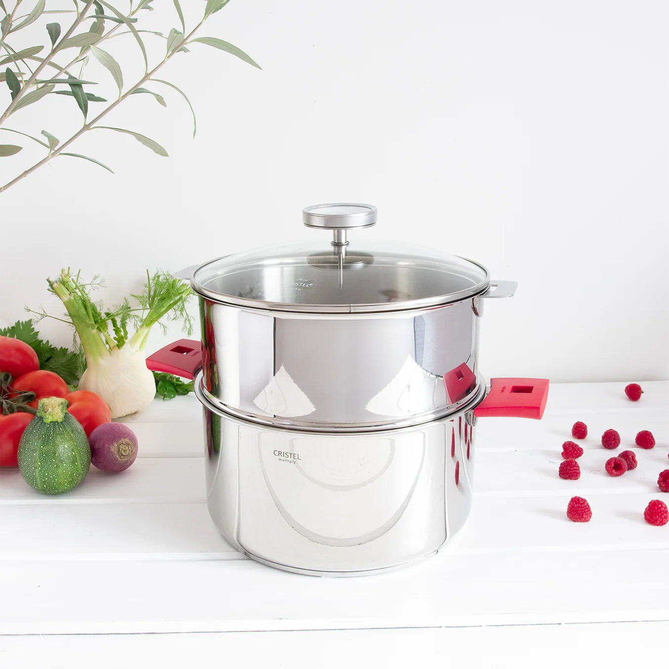 BIOME®, Healthy Cooking by CRISTEL USA - product image 2 for Resin Society