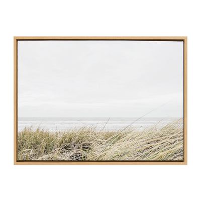 Sylvie East Beach Framed Canvas by Amy Peterson Art Studio by kateandlaurel - product image 8 for Resin Society
