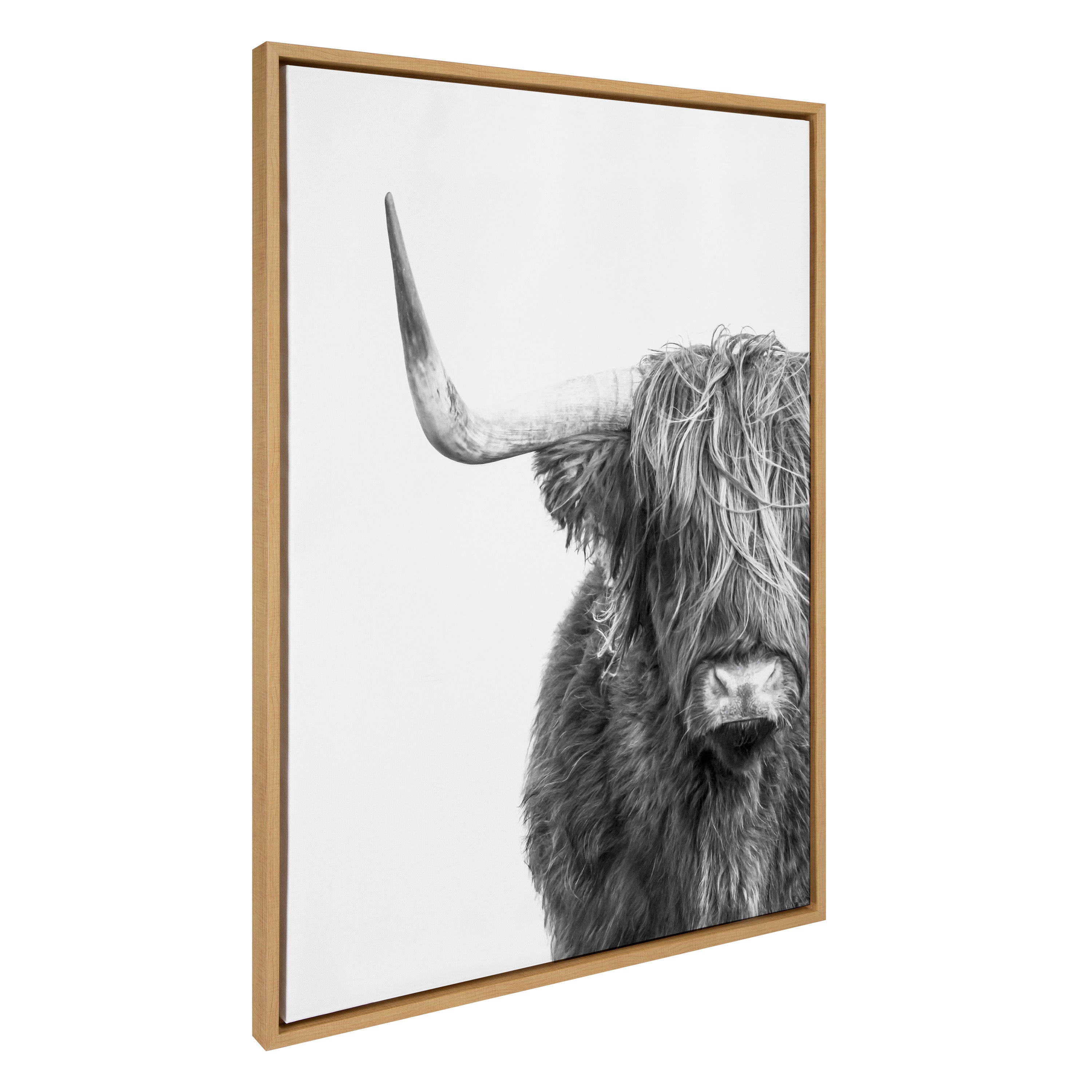 Sylvie B&W Highland Cow No. 1 Framed Canvas by Amy Peterson Art Studio