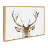 Framed canvas showing the head and antlers of a brown and white stag against a white background, viewed from the front in a light wooden frame.