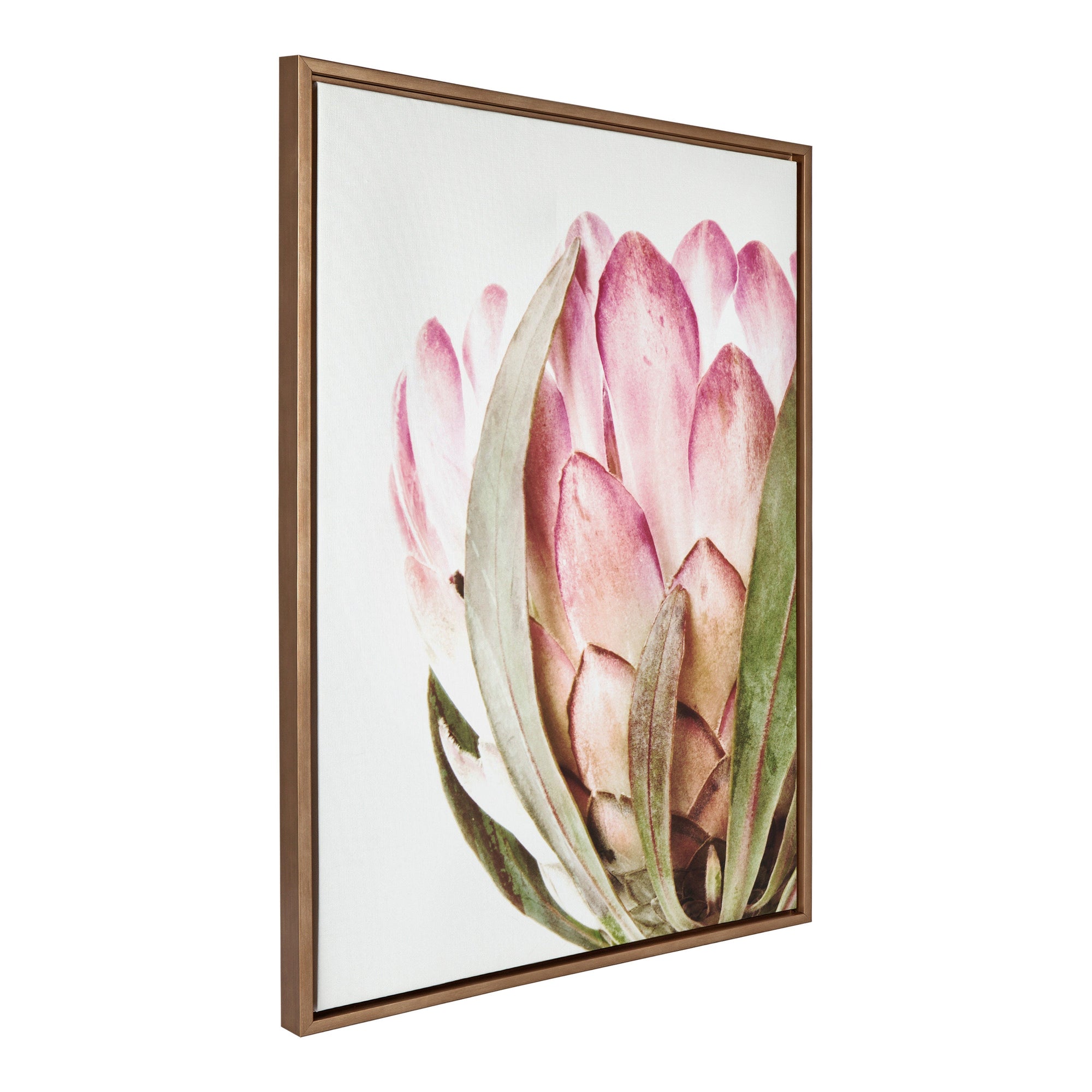 Sylvie Pink Protea Flower Framed Canvas by Amy Peterson by kateandlaurel - main product image for Resin Society