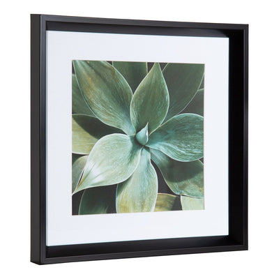 Calter Succulent Leaves Framed Print Art Set by Amy Peterson by kateandlaurel - product image 4 for Resin Society