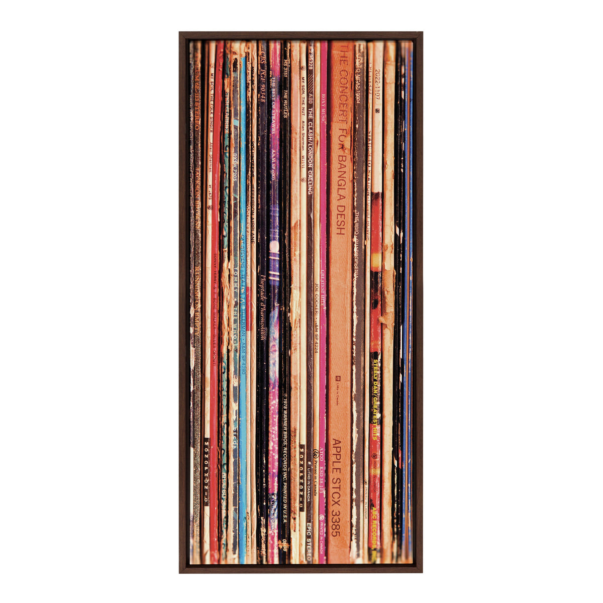 Sylvie Records Framed Canvas by Robert Cadloff of Bomobob by kateandlaurel - product image 2 for Resin Society