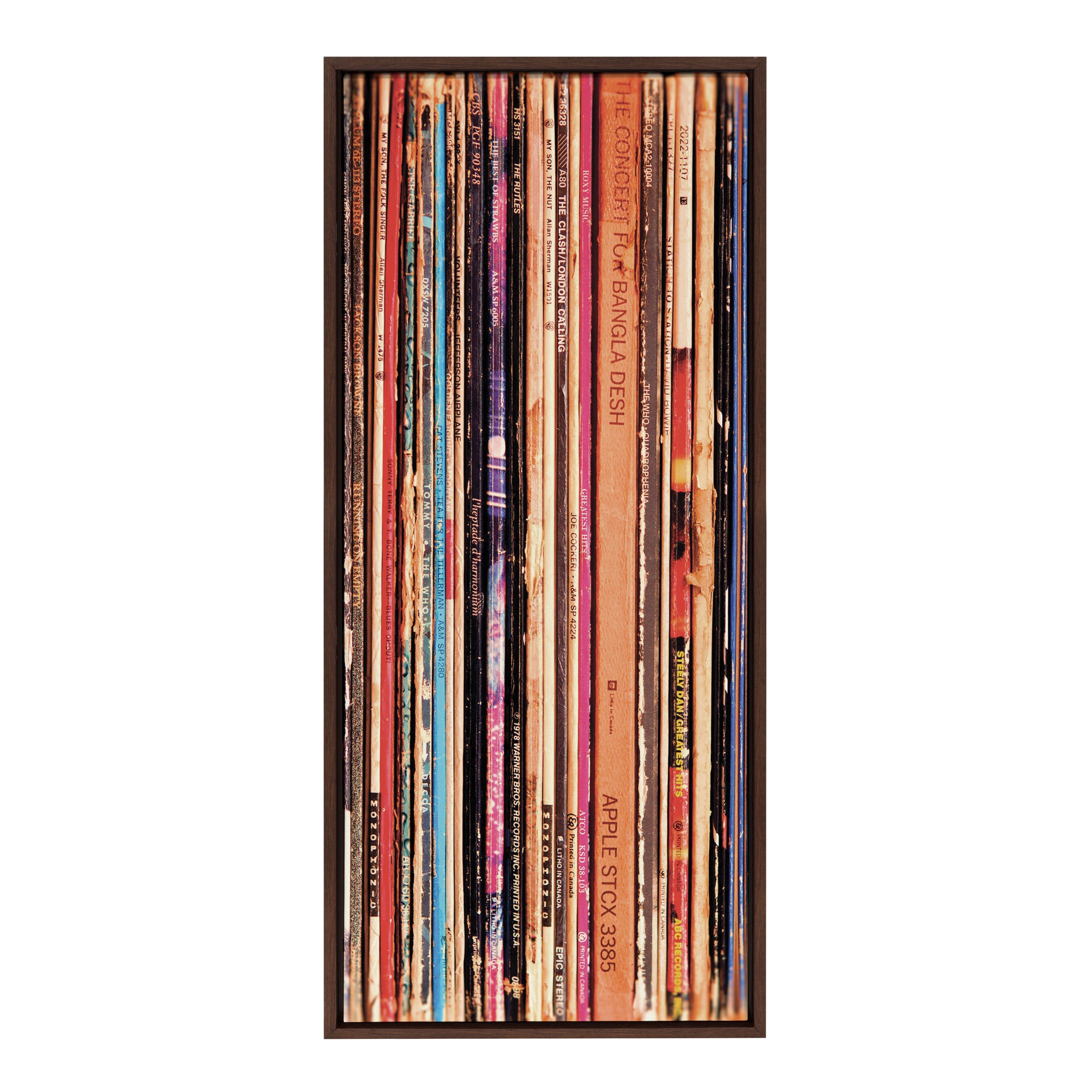 Sylvie Records Framed Canvas by Robert Cadloff of Bomobob by kateandlaurel - product image 2 for Resin Society