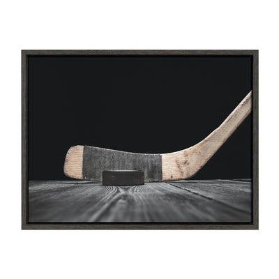 Sylvie Vintage Stick Framed Canvas by kateandlaurel - main product image for Resin Society