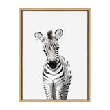 Sylvie Baby Zebra Framed Canvas by Amy Peterson by kateandlaurel - main product image for Resin Society