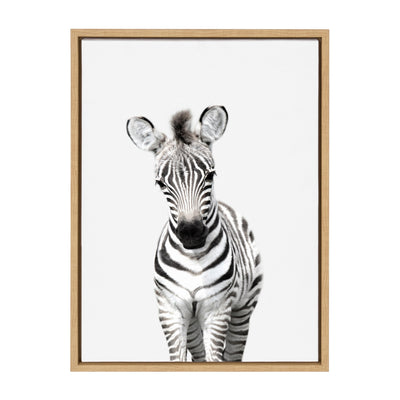 Sylvie Baby Zebra Framed Canvas by Amy Peterson by kateandlaurel - main product image for Resin Society