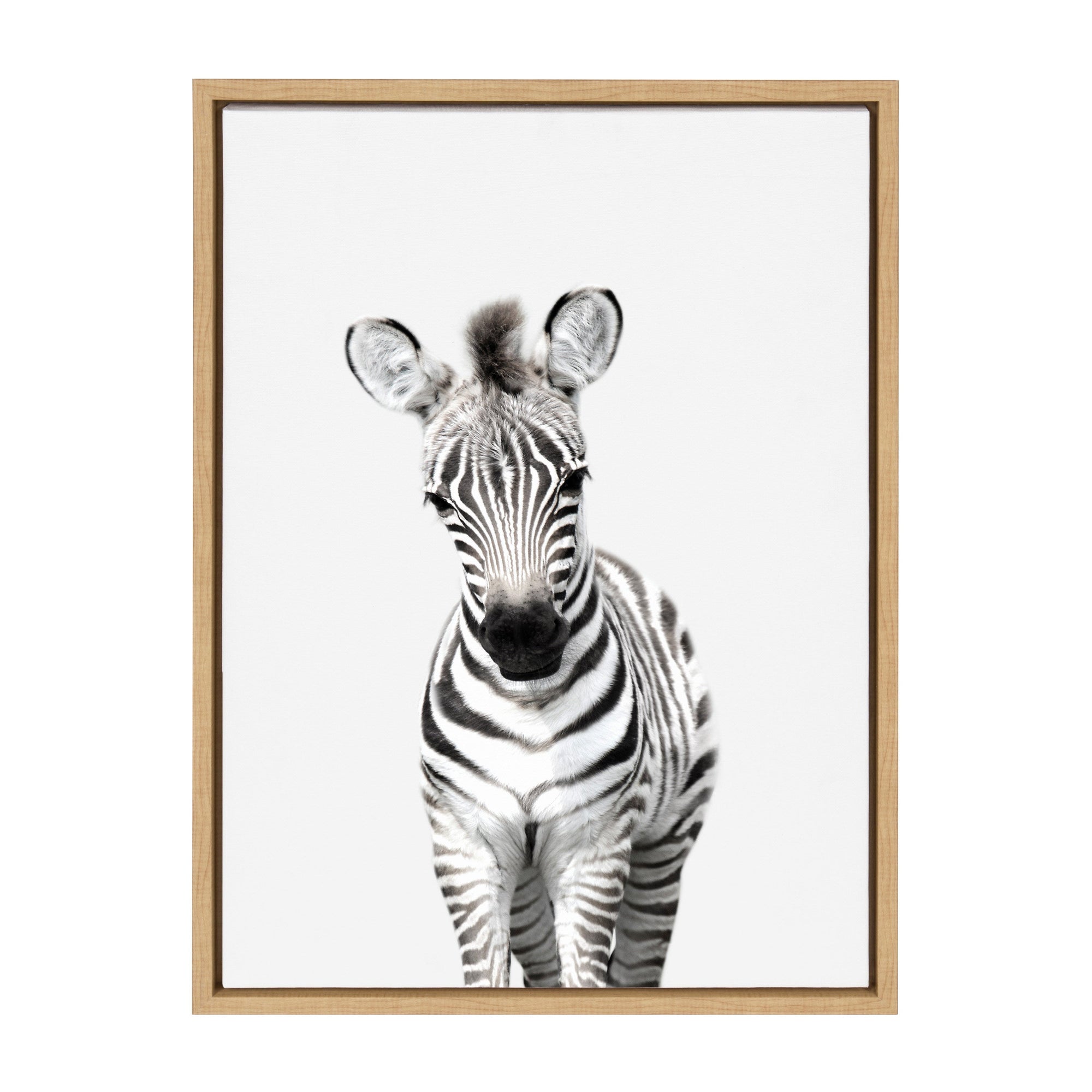 Sylvie Baby Zebra Framed Canvas by Amy Peterson by kateandlaurel - product image 7 for Resin Society
