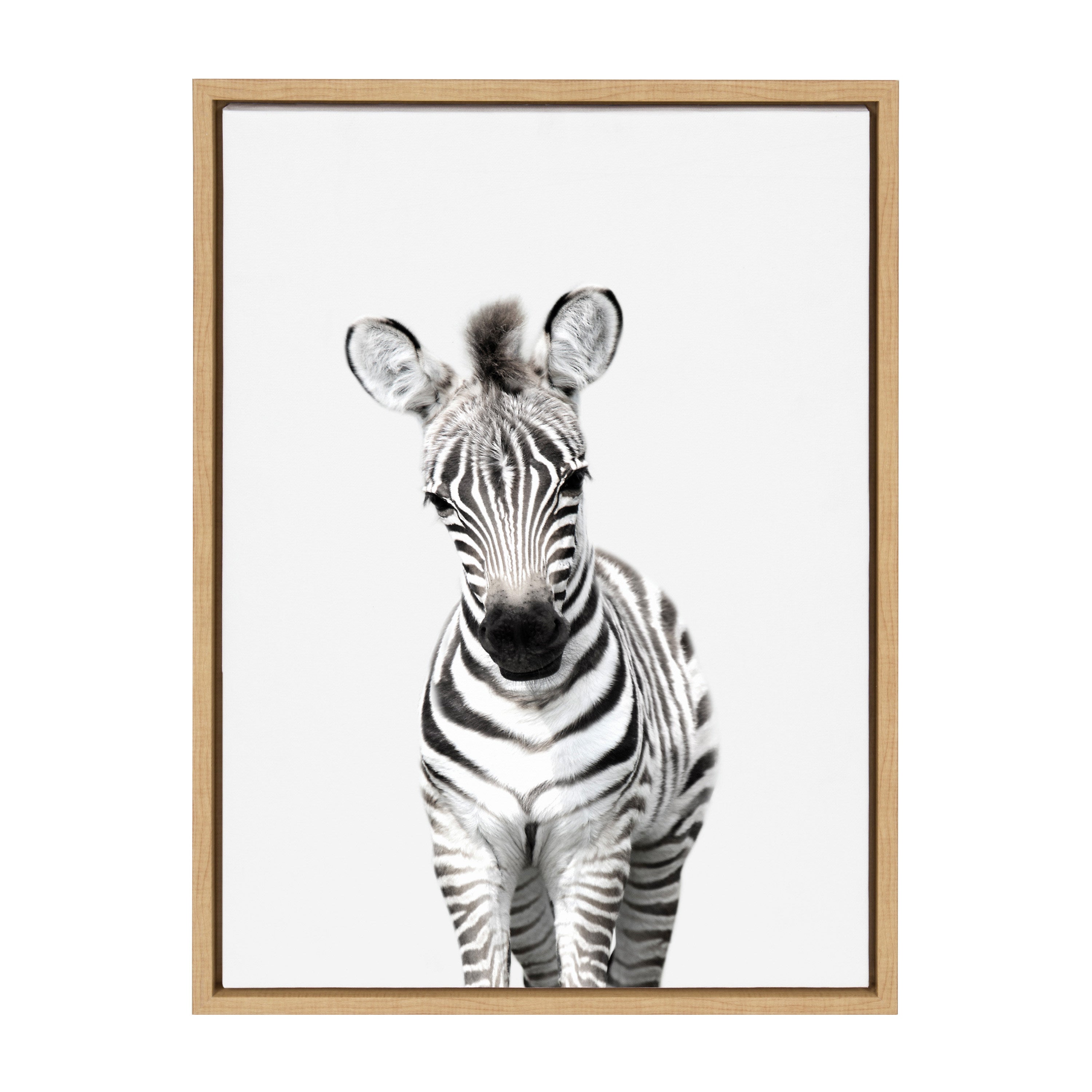 Sylvie Baby Zebra Framed Canvas by Amy Peterson by kateandlaurel - product image 7 for Resin Society