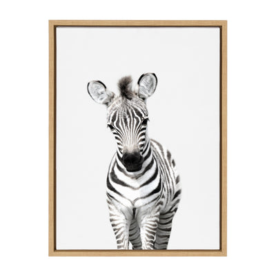 Sylvie Baby Zebra Framed Canvas by Amy Peterson by kateandlaurel - product image 7 for Resin Society