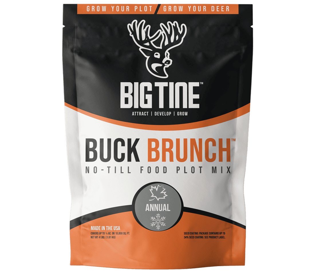 BIG TINE BUCK BRUNCH seed blend packaging and planting diagram