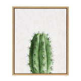 Sylvie Home Cactus Framed Canvas by Simon Te Tai by kateandlaurel - main product image for Resin Society