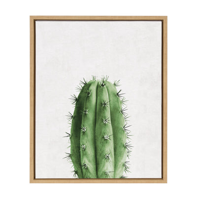 Sylvie Home Cactus Framed Canvas by Simon Te Tai by kateandlaurel - main product image for Resin Society
