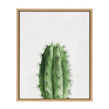 Sylvie Home Cactus Framed Canvas by Simon Te Tai by kateandlaurel - product image 7 for Resin Society